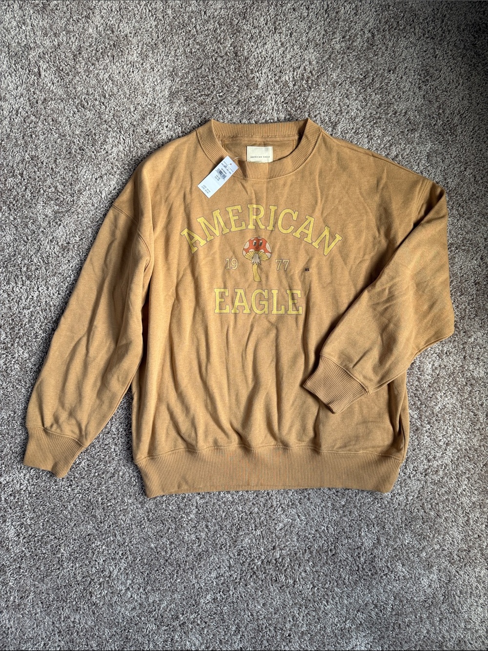 American Eagle Outfitters Oversized Graphic Crewneck Sweatshirt